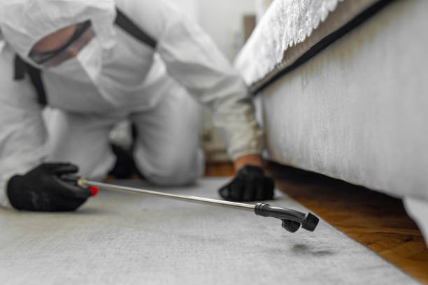 Professional Bed Bug Control technician working in Bon Homme County County, SD